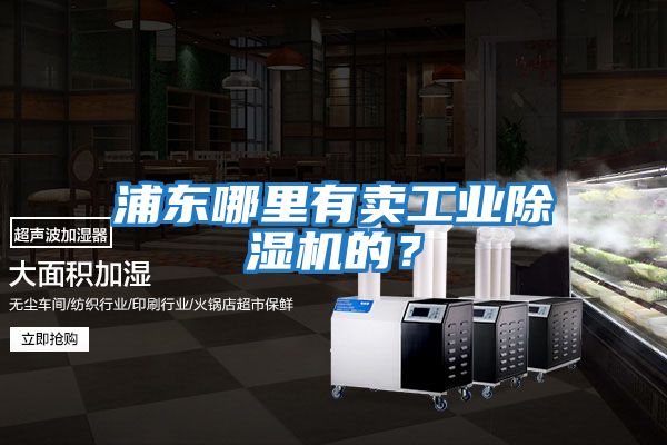 浦東哪里有賣工業除濕機的？