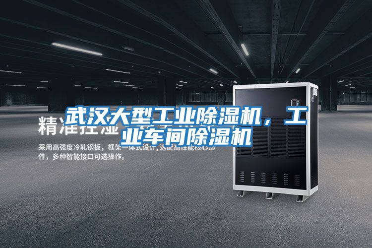 武漢大型工業除濕機，工業車間除濕機
