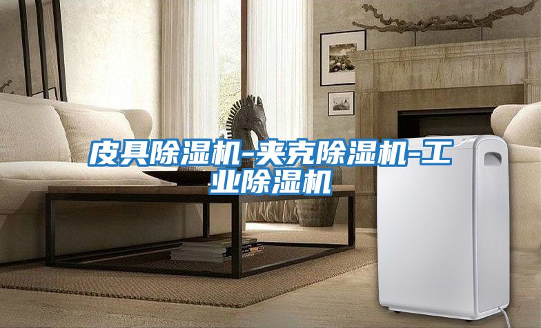 皮具除濕機-夾克除濕機-工業除濕機