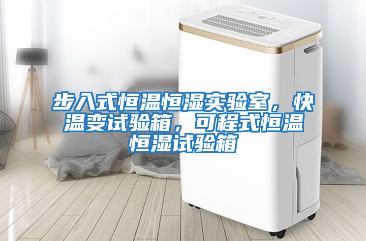 步入式恒溫恒濕實(shí)驗(yàn)室，快溫變試驗(yàn)箱，可程式恒溫恒濕試驗(yàn)箱