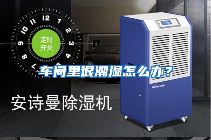 車間里很潮濕怎么辦？