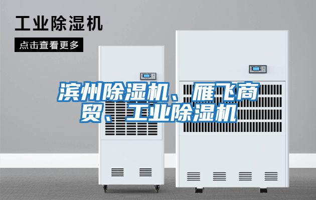 濱州除濕機、雁飛商貿、工業除濕機