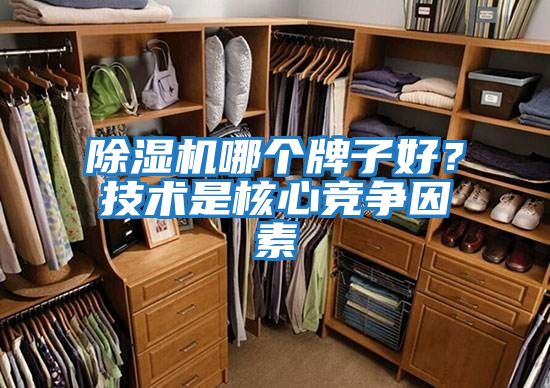 除濕機哪個牌子好？技術是核心競爭因素