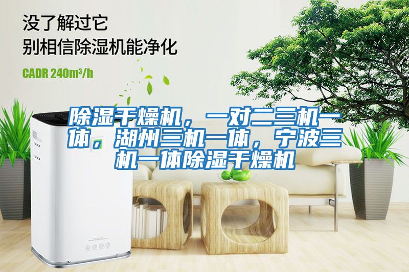 除濕干燥機，一對二三機一體，湖州三機一體，寧波三機一體除濕干燥機