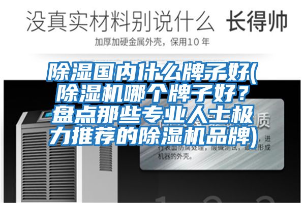 除濕國內什么牌子好(除濕機哪個牌子好？盤點那些專業人士極力推薦的除濕機品牌)