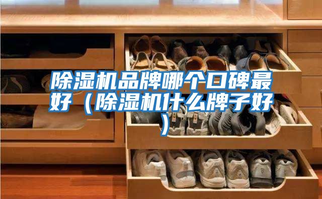 除濕機品牌哪個口碑最好（除濕機什么牌子好）