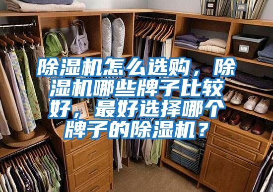 除濕機怎么選購，除濕機哪些牌子比較好，最好選擇哪個牌子的除濕機？