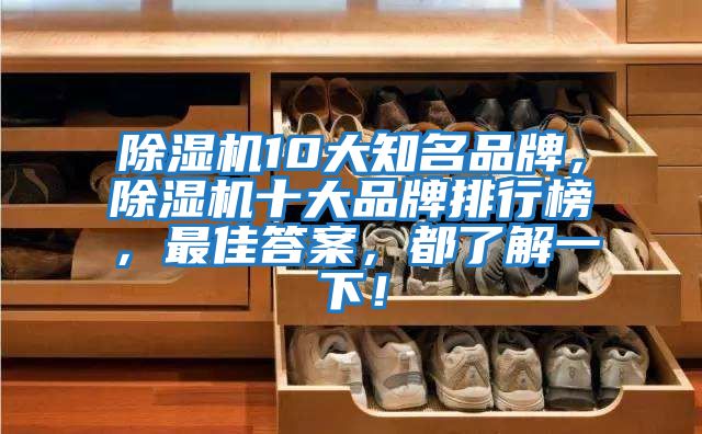 除濕機10大知名品牌，除濕機十大品牌排行榜，最佳答案，都了解一下！