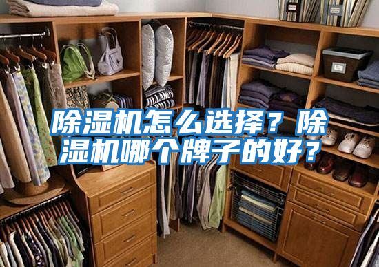除濕機怎么選擇？除濕機哪個牌子的好？