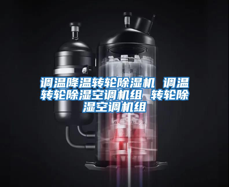 調(diào)溫降溫轉(zhuǎn)輪除濕機 調(diào)溫轉(zhuǎn)輪除濕空調(diào)機組 轉(zhuǎn)輪除濕空調(diào)機組