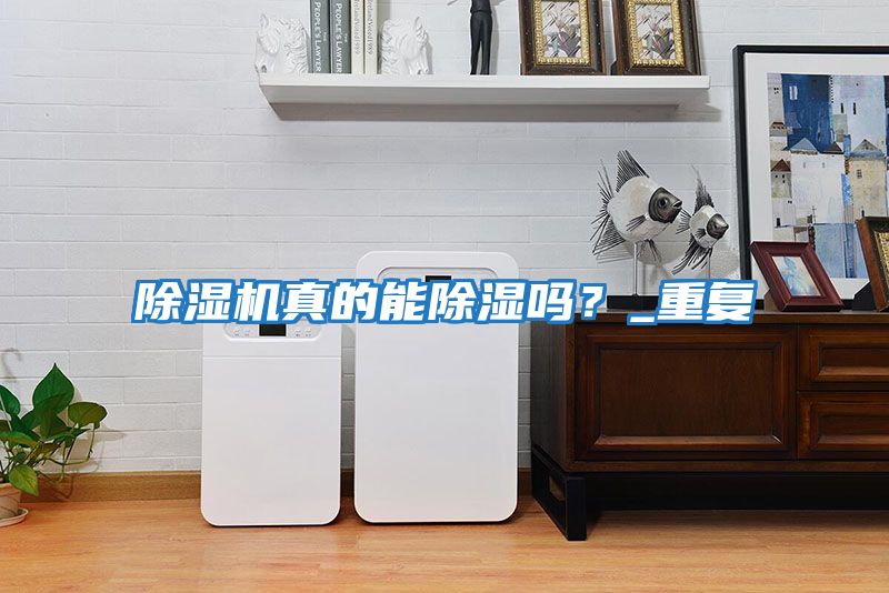 除濕機真的能除濕嗎？_重復