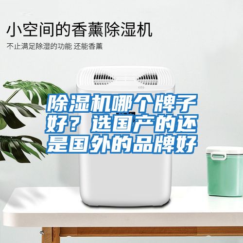 除濕機哪個牌子好？選國產的還是國外的品牌好