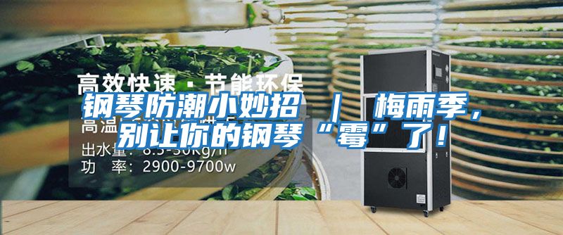 鋼琴防潮小妙招 ｜ 梅雨季，別讓你的鋼琴“霉”了！