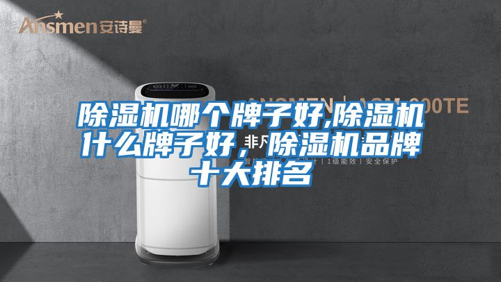 除濕機哪個牌子好,除濕機什么牌子好，除濕機品牌十大排名
