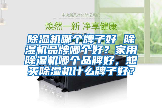除濕機哪個牌子好 除濕機品牌哪個好？家用除濕機哪個品牌好，想買除濕機什么牌子好？