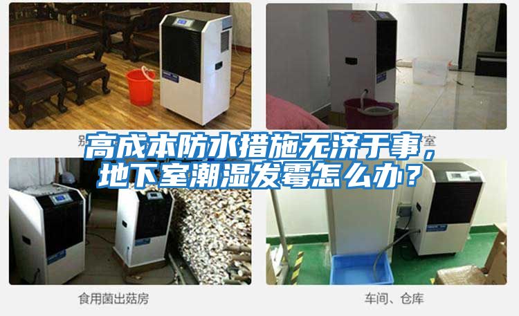 高成本防水措施無濟(jì)于事，地下室潮濕發(fā)霉怎么辦？