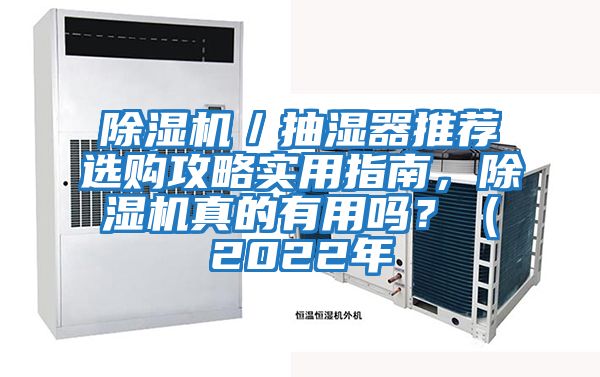 除濕機(jī)／抽濕器推薦選購攻略實用指南，除濕機(jī)真的有用嗎？（2022年