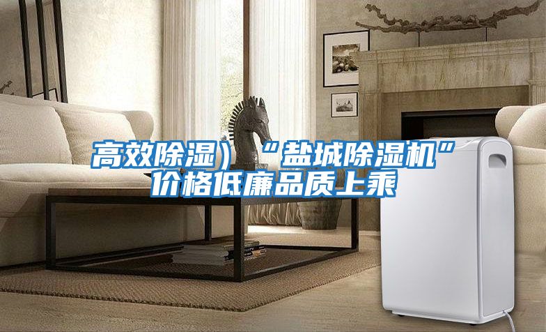 高效除濕）“鹽城除濕機(jī)”價格低廉品質(zhì)上乘