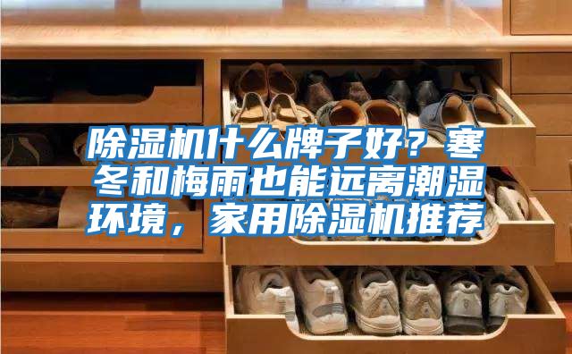 除濕機什么牌子好？寒冬和梅雨也能遠離潮濕環境，家用除濕機推薦