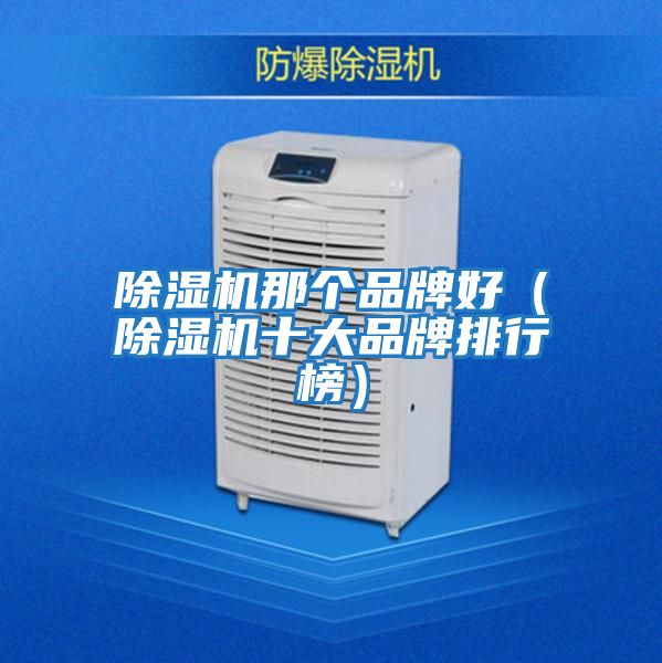 除濕機(jī)那個品牌好（除濕機(jī)十大品牌排行榜）