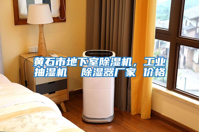 黃石市地下室除濕機(jī)，工業(yè)抽濕機(jī)  除濕器廠家 價(jià)格