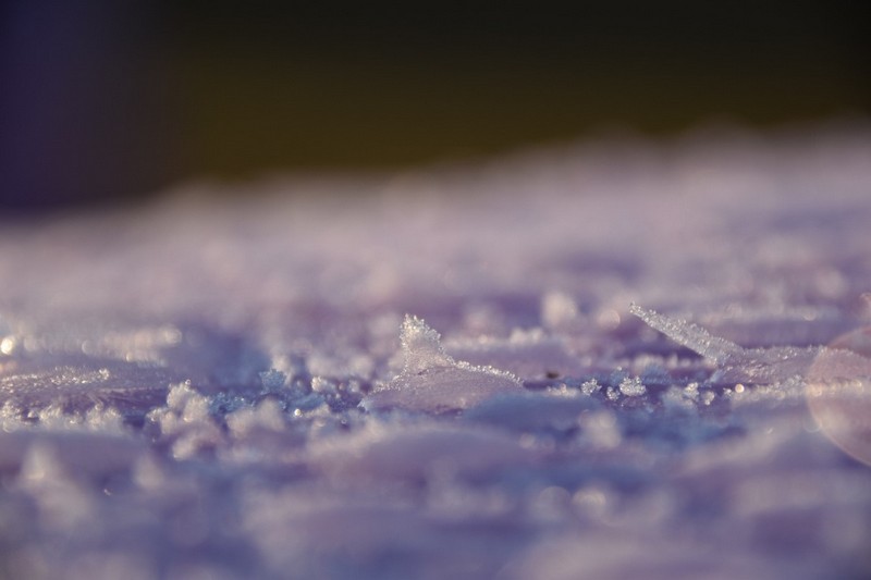 你知道除濕機為什么需要自動化霜嗎？ 冷凍式除濕機化霜功能