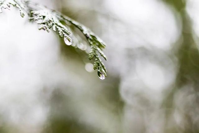 空氣濕度大帶來的危害有哪些，你知道嗎？